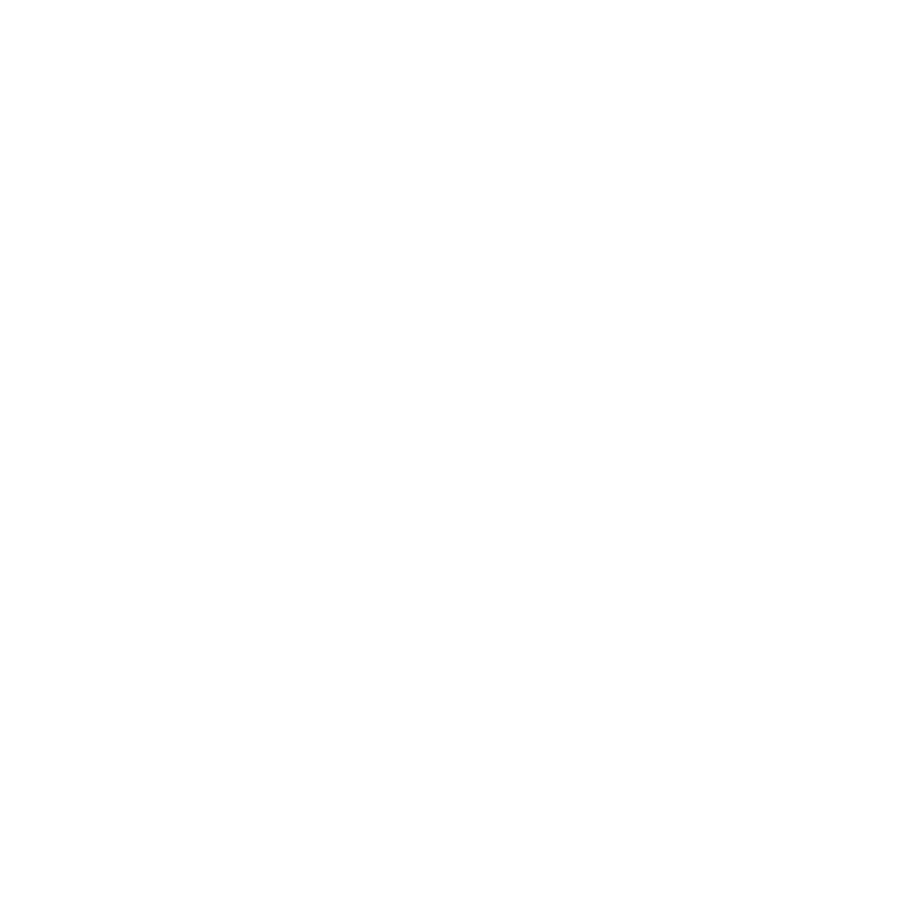 General Magic