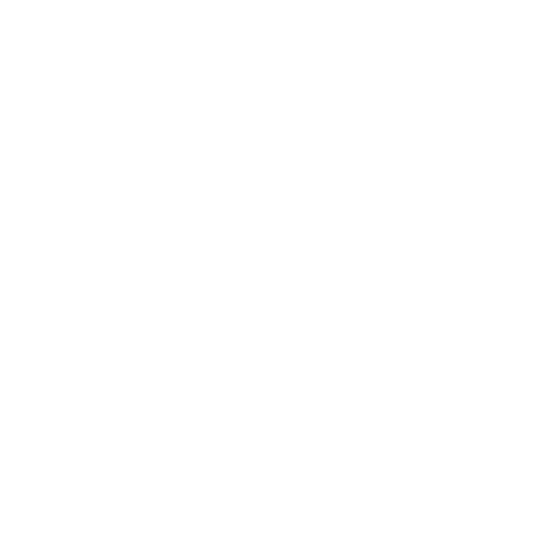 Vizcom